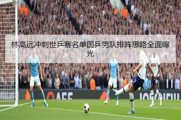 林高远冲刺世乒赛名单国乒男队排阵思路全面曝光